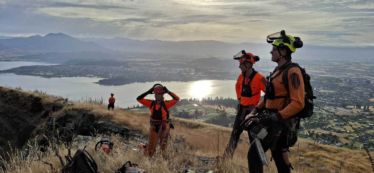 Working for ‘wilding-free Upper Clutha’ 