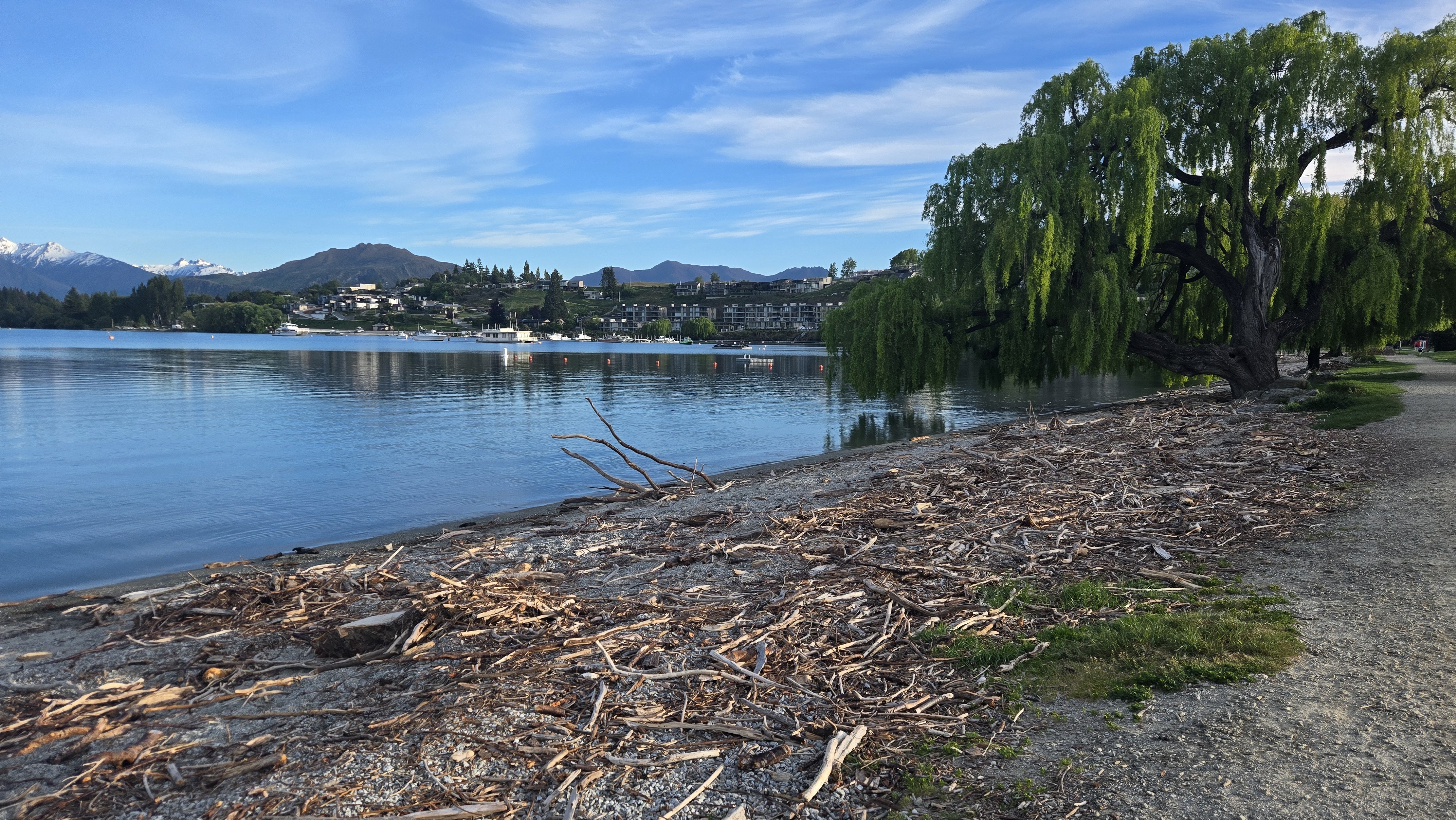 No plans yet for lakefront clean up