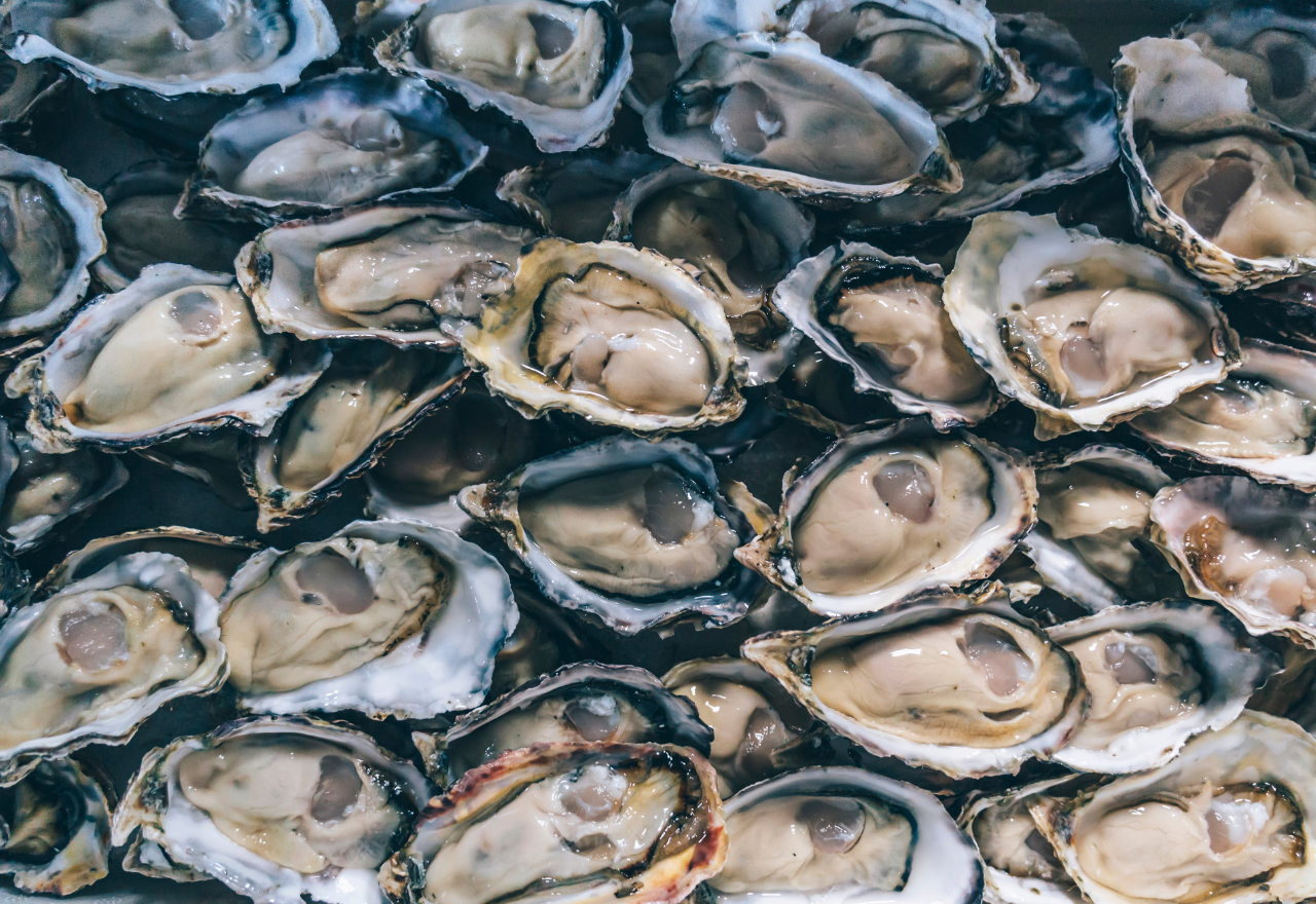 NSW Government invests $20 million to grow state’s aquaculture industry