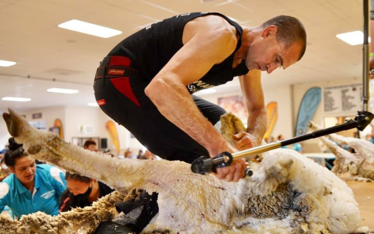 Invercargill shearer Nathan Stratford matches potential New Zealand record