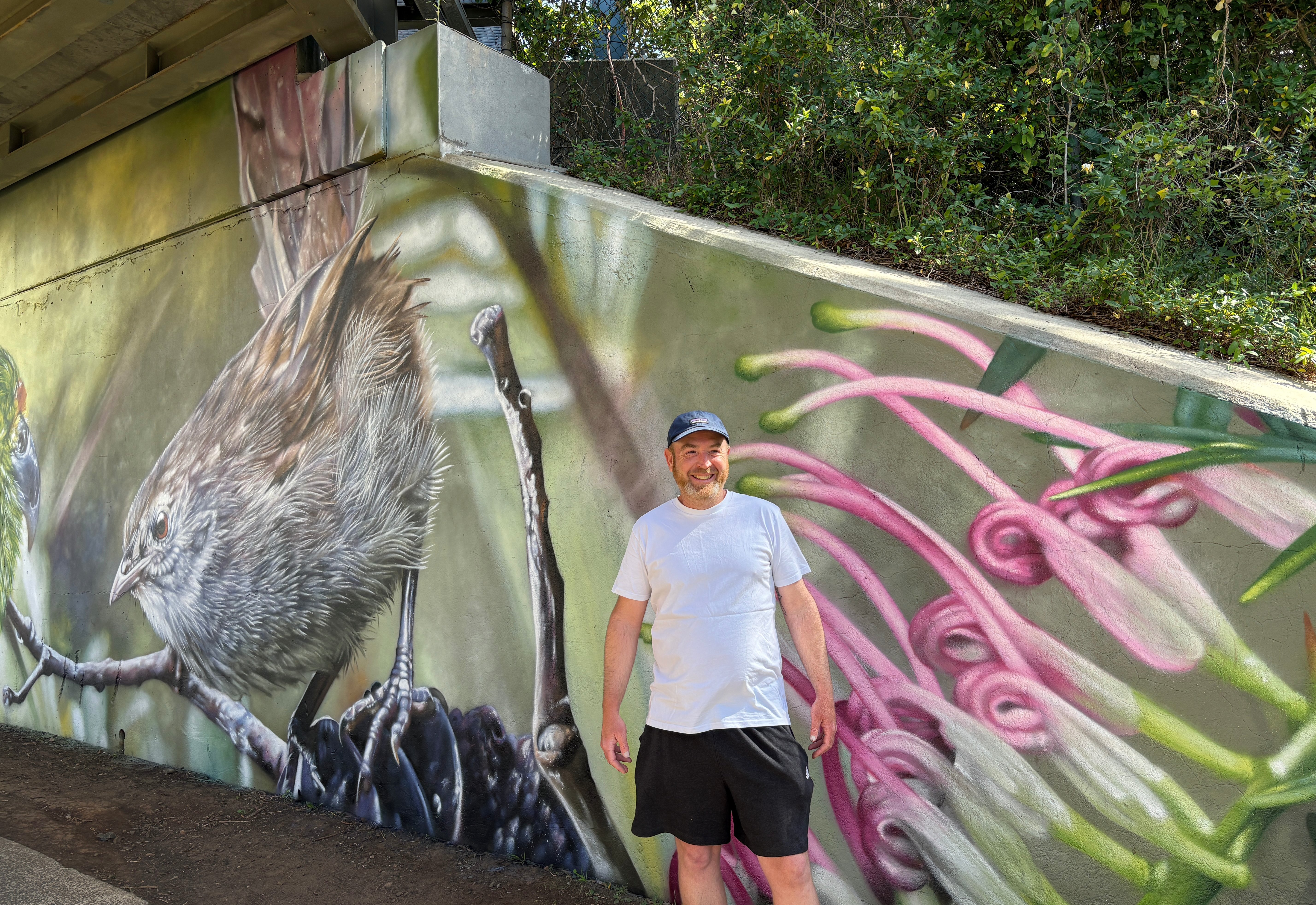 Melbourne artist turns Terralong underbridge into work of art