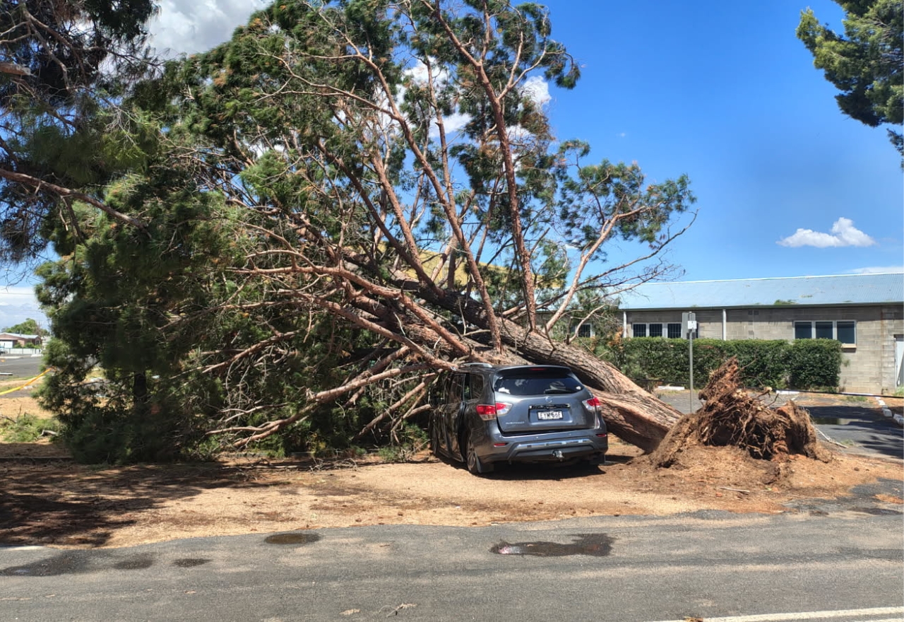 UPDATED: Storms smash Nevertire and leave Narromine and Warren residents without power
