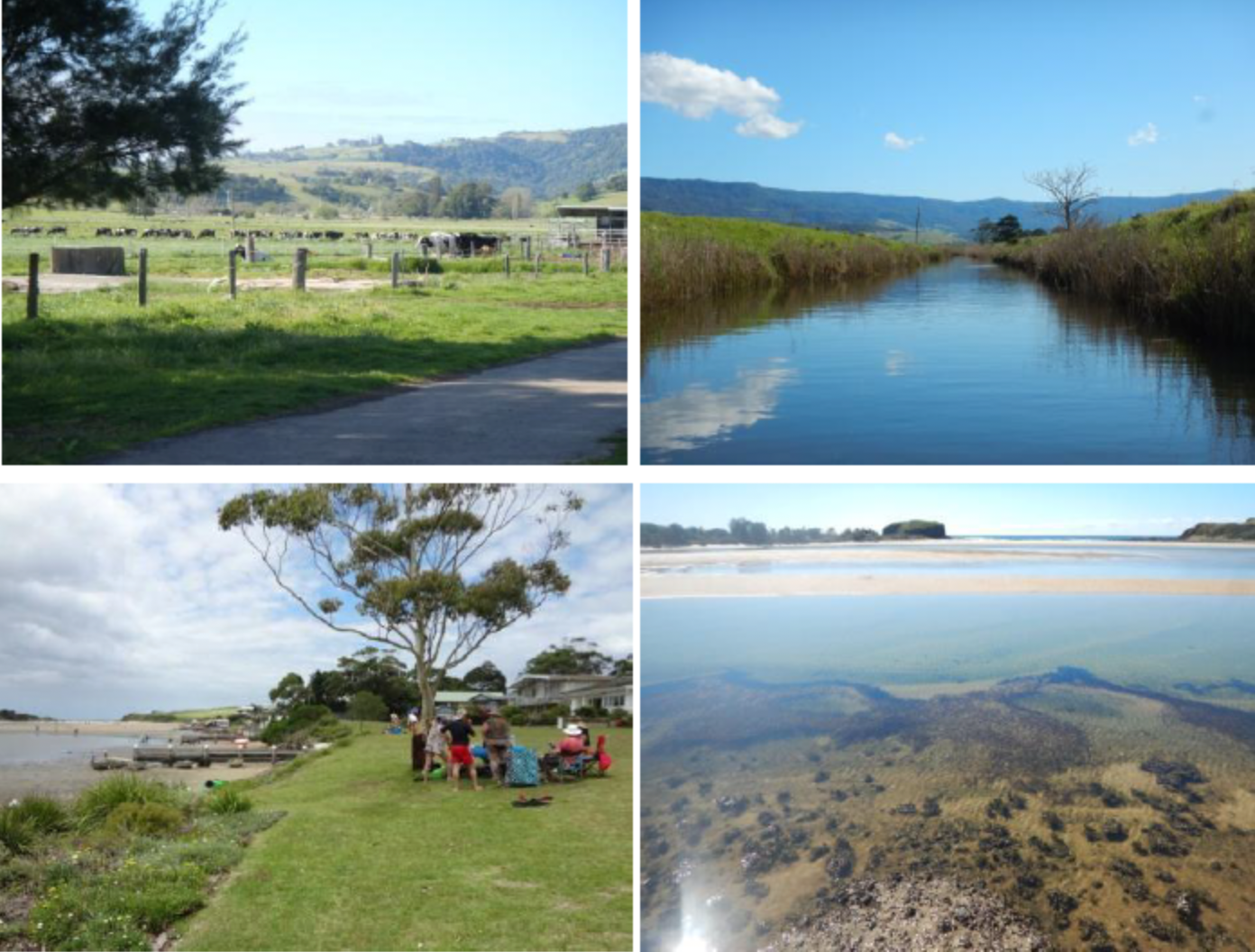 Minnamurra community urges joint government action over river concerns