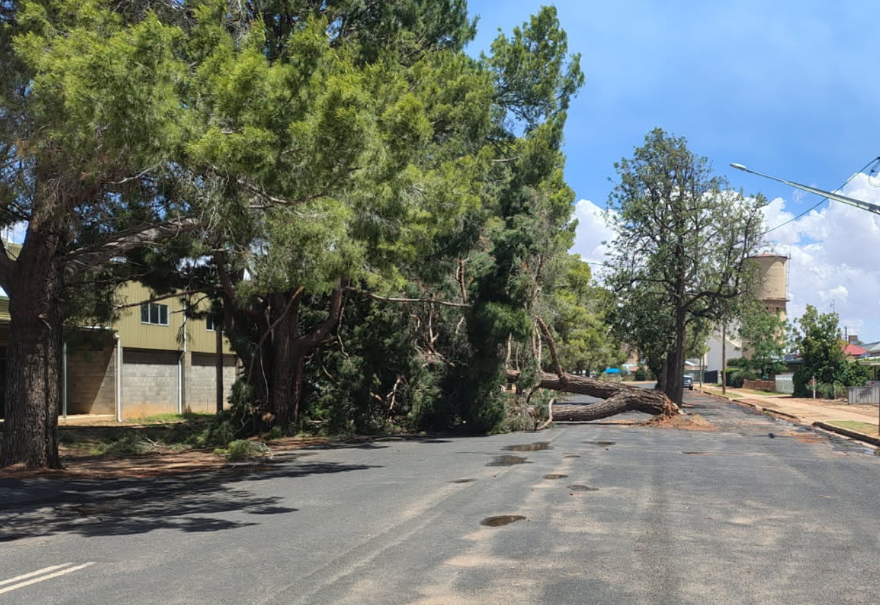 Fire ban slows return to power after storms play havoc