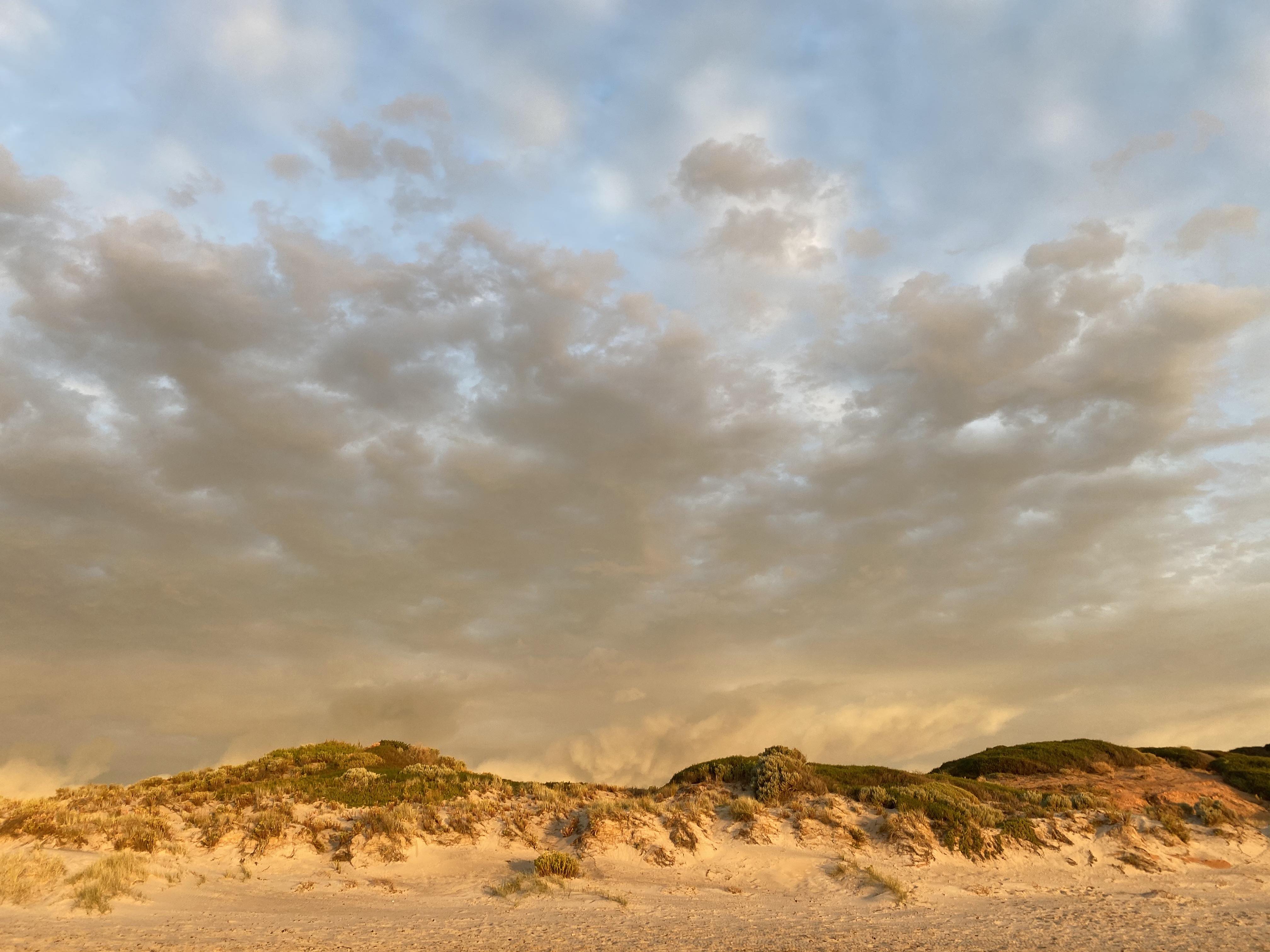 Advice - CLARENDON Smoke