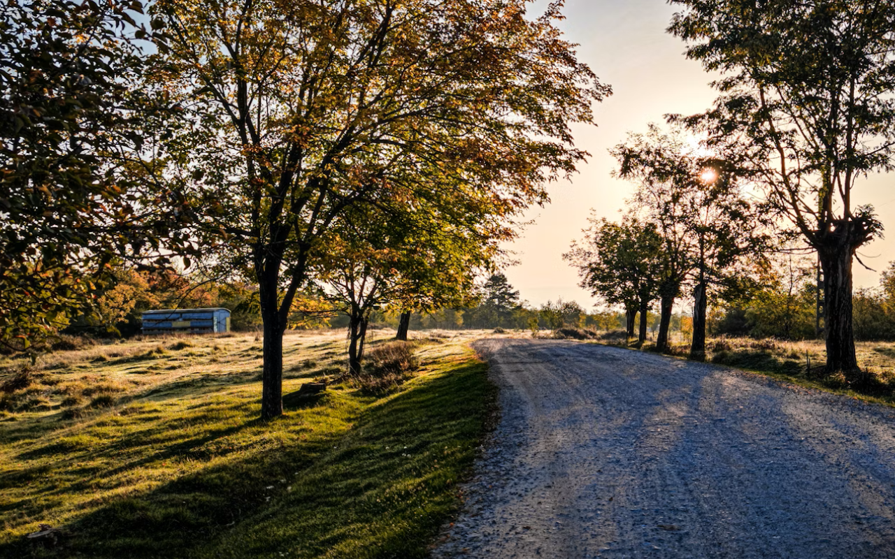 NZ is full of paper roads, but what are they and how can you find them?