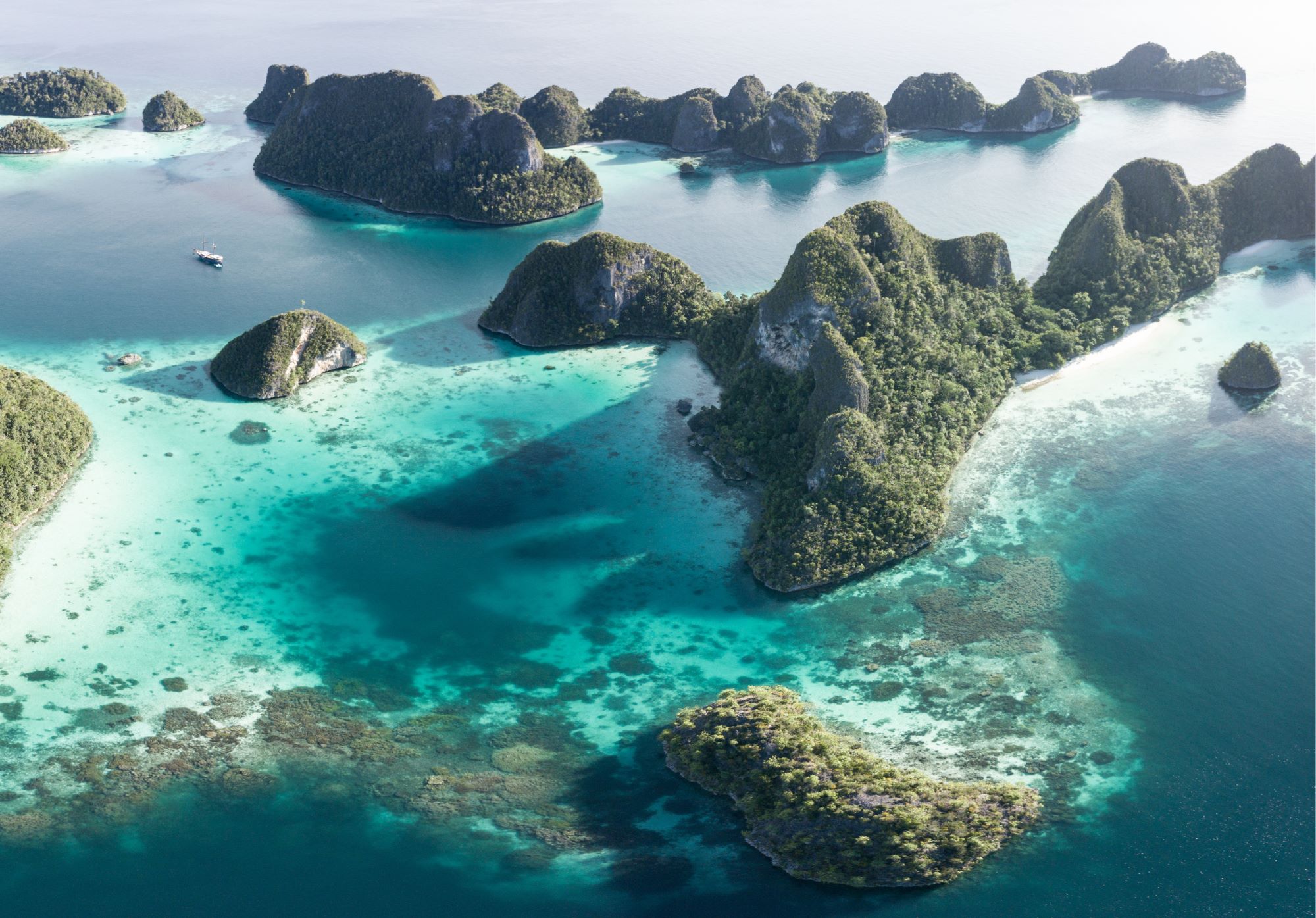 Beyond the ordinary: True essence of expedition cruising