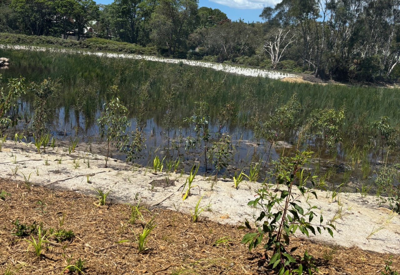 Sandhills Wetlands reopened as part of $26 million Byron flood resilience project