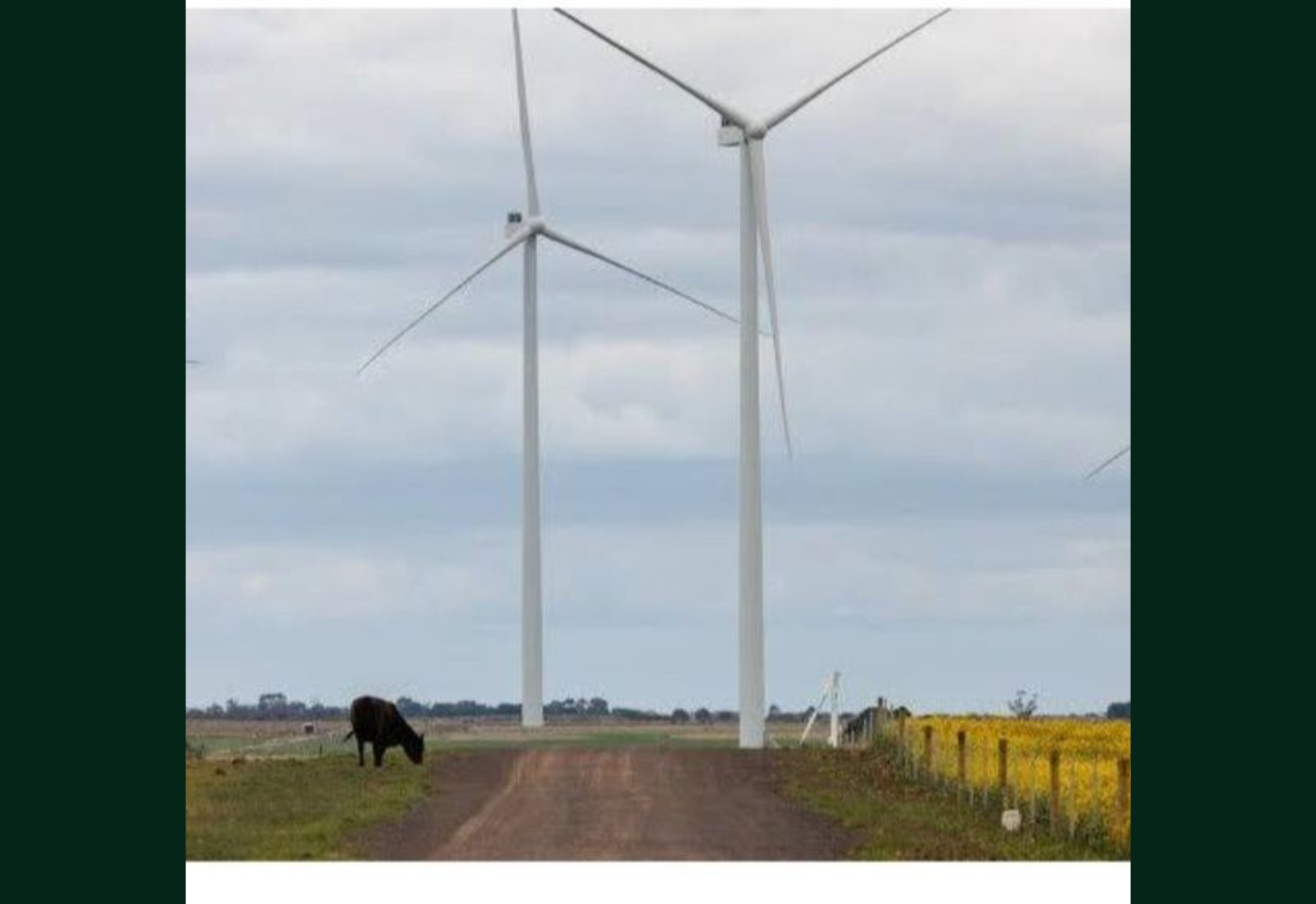  Asbestos scare hits wind energy sector