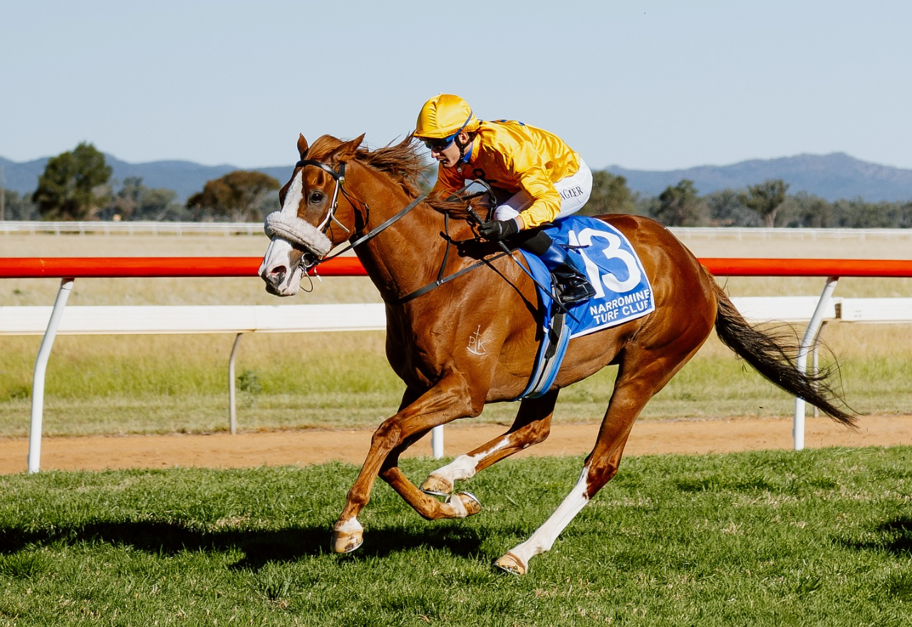 Top local jockey looks for more success at Narromine