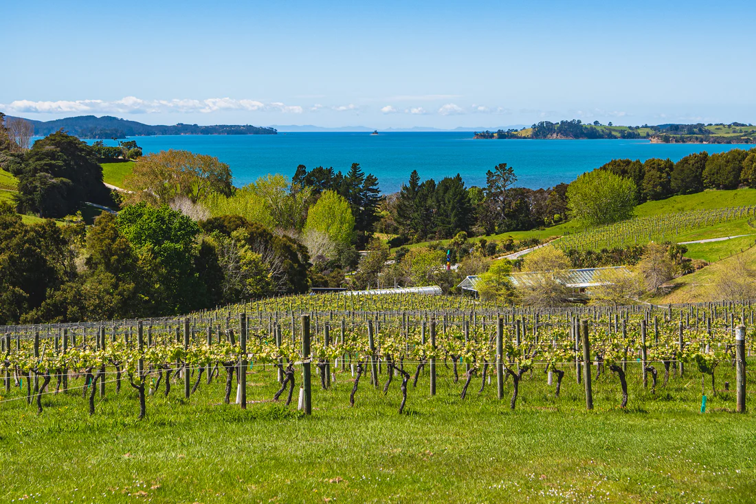 New artworks, summer flavours and DJ nights arrive at Brick Bay (Sponsored Content)