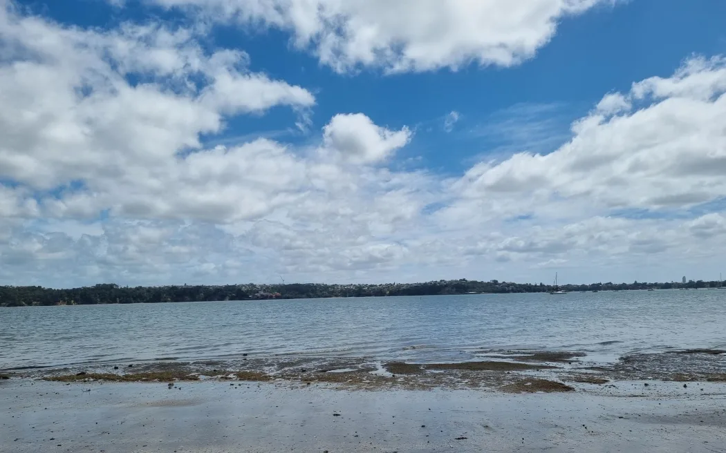 Auckland beachgoers warned of sewage overflows
