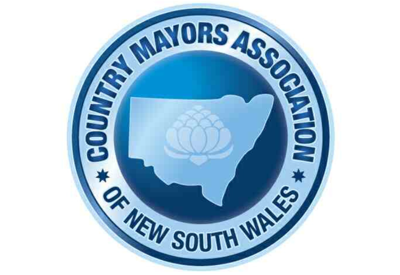 Rural councils fighting for survival, says Mayor Louie