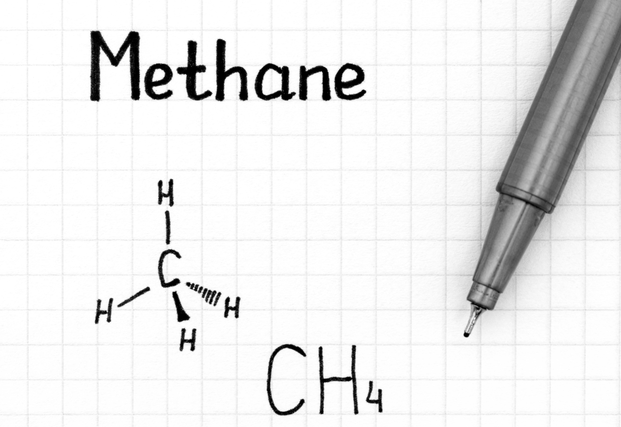 Bio security and low methane fodder on the menu for LLS breakfast meeting at Hay