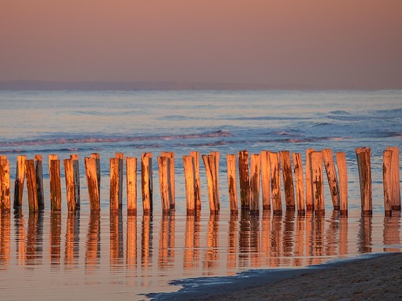 Buy in to bollards on the beach