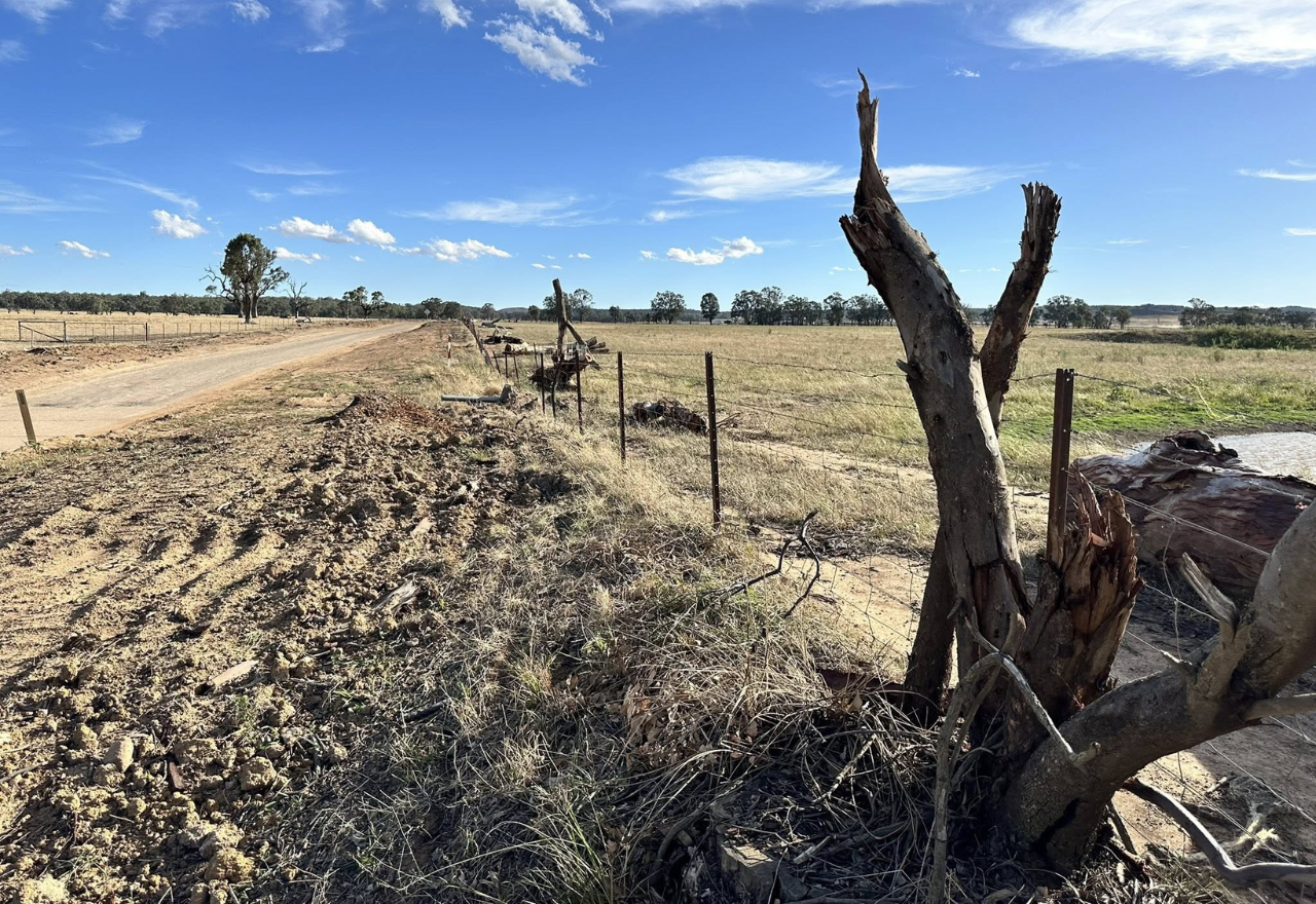 "Environmental vandalism" - Energy Zone operator condemned