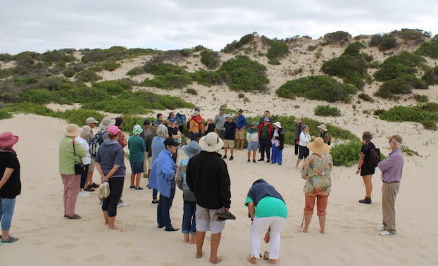 Summer of science on the Coorong