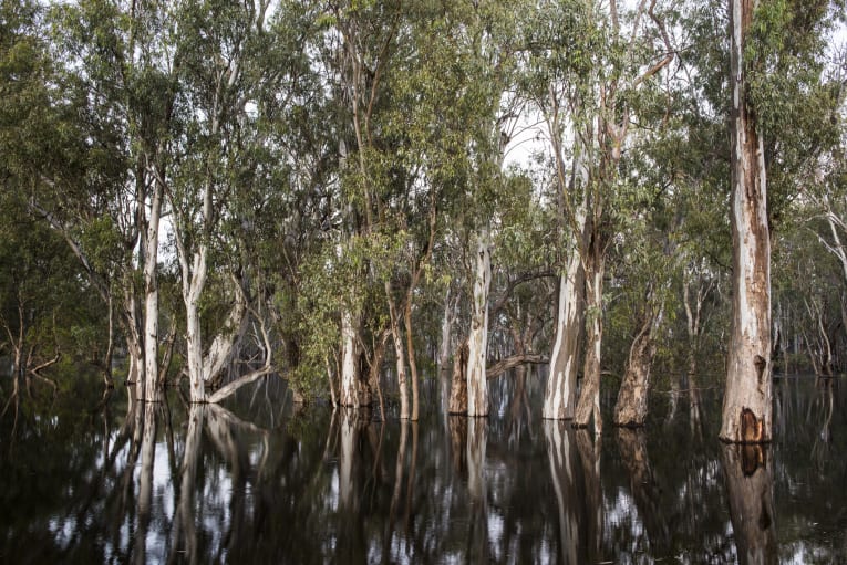 A dark day in Balranald's history