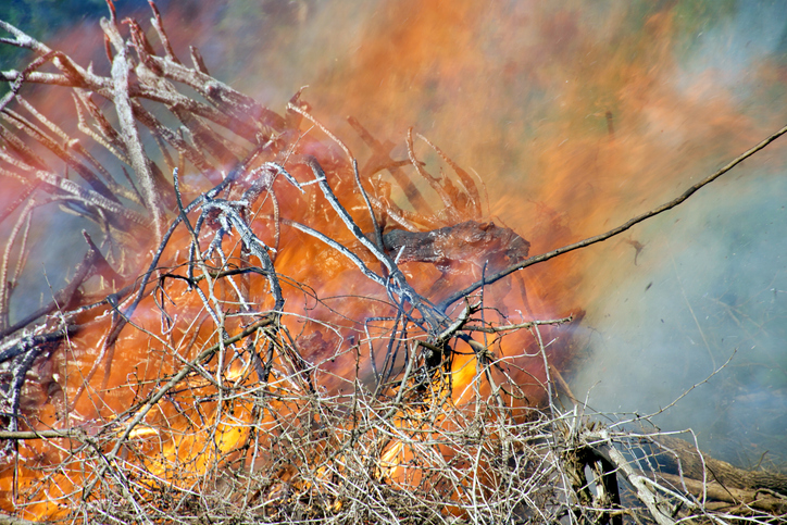 Rising Heat, Rising Risk: A Local Guide to Protecting Your Home This Summer (sponsored)