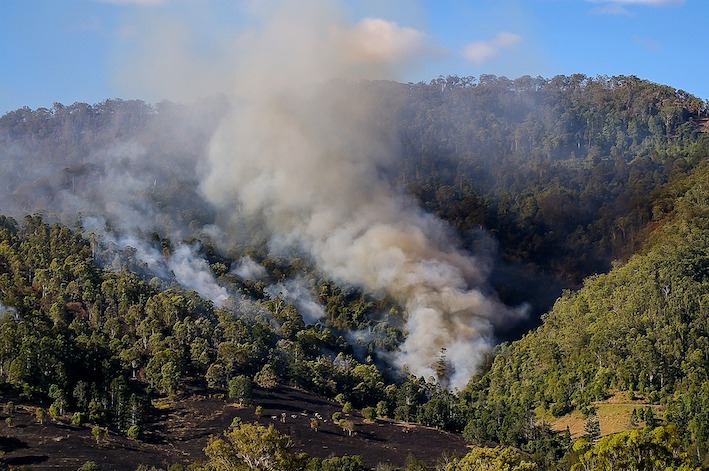 Bald Hills grass fire