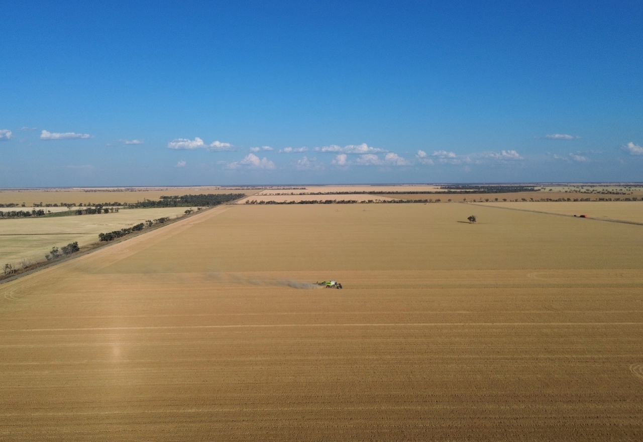 GrainCorp signals 'strong' harvest