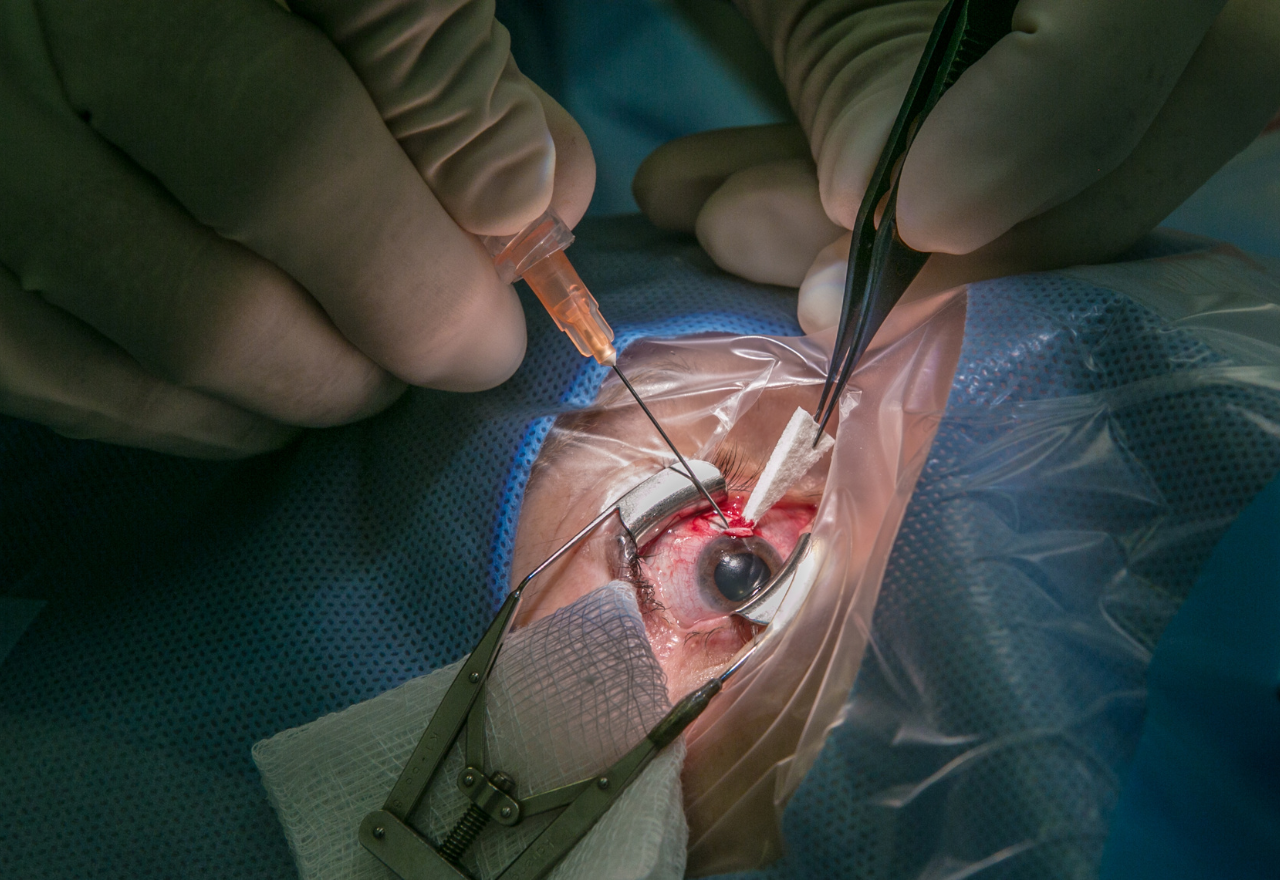 Elective surgery admissions continue to rise while wait times stabilise