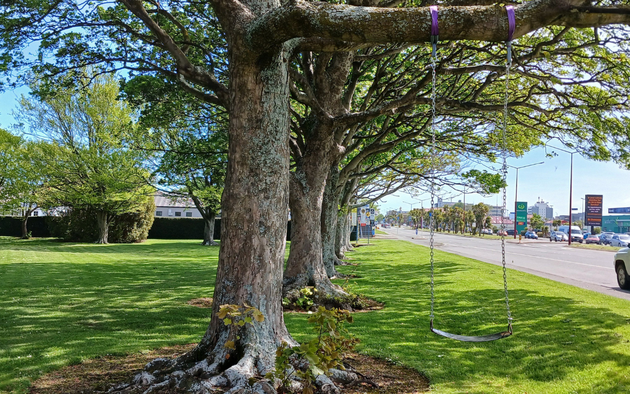 Invercargill’s new tree swings weather the storm