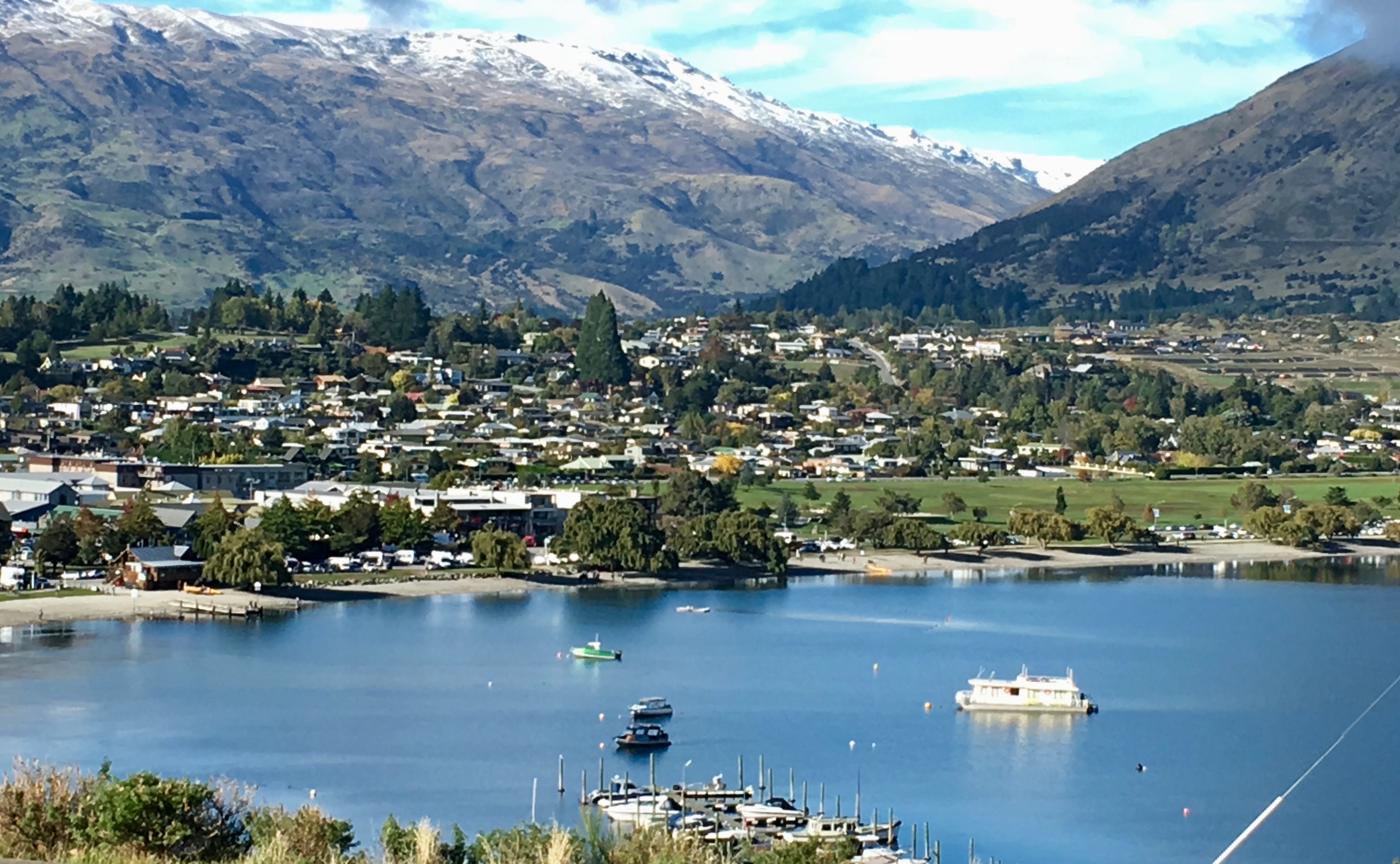 RMA reform a ‘pretty wild ride’ for councils