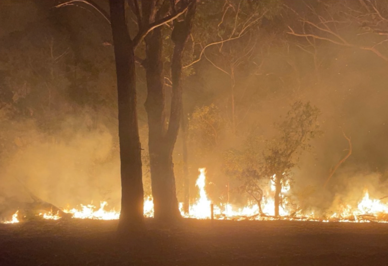 Community hubs and hardship payments activated after bushfires 