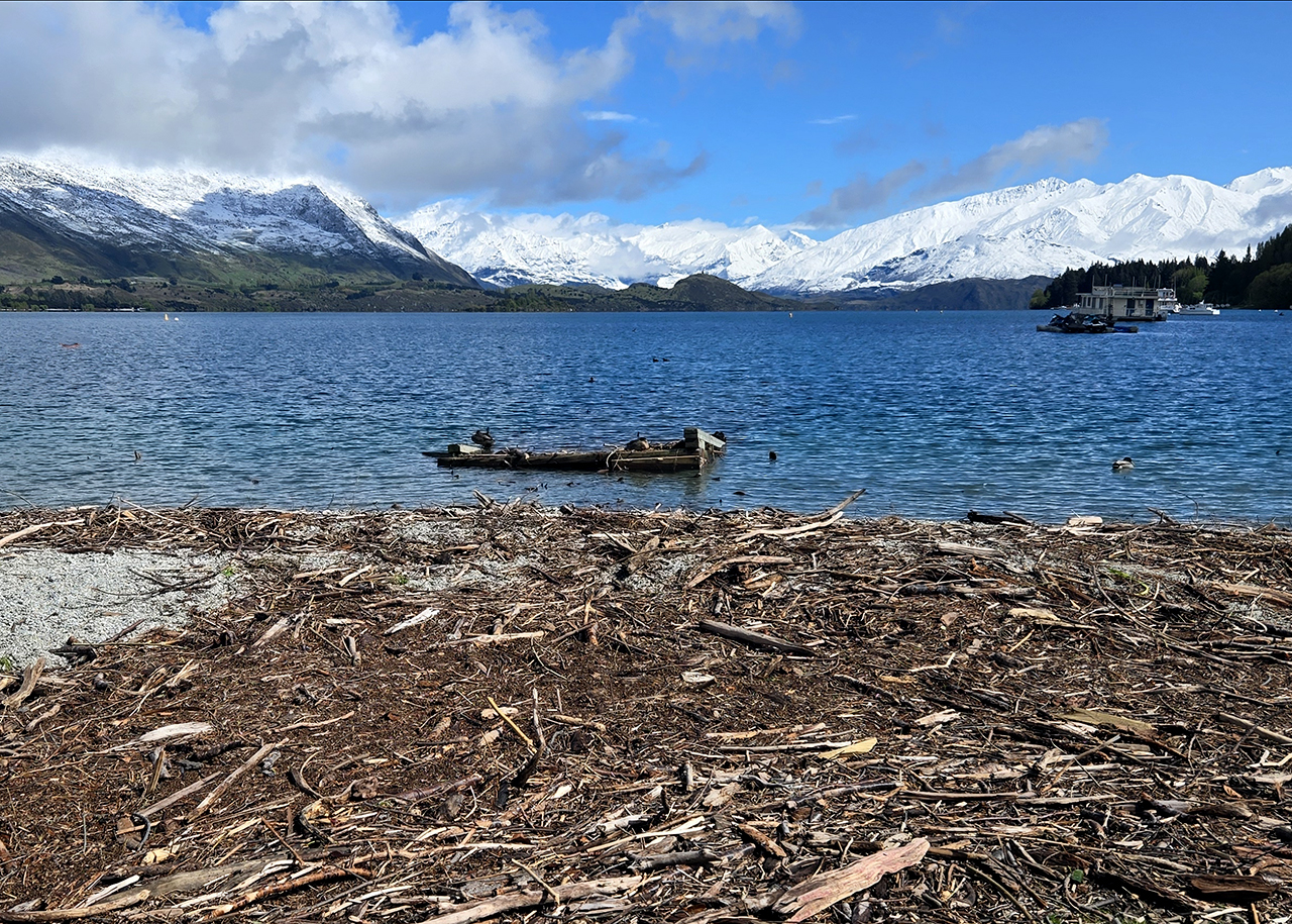 Updated CBD, new jetty, sports fields, more - community board’s wishlist for 2026