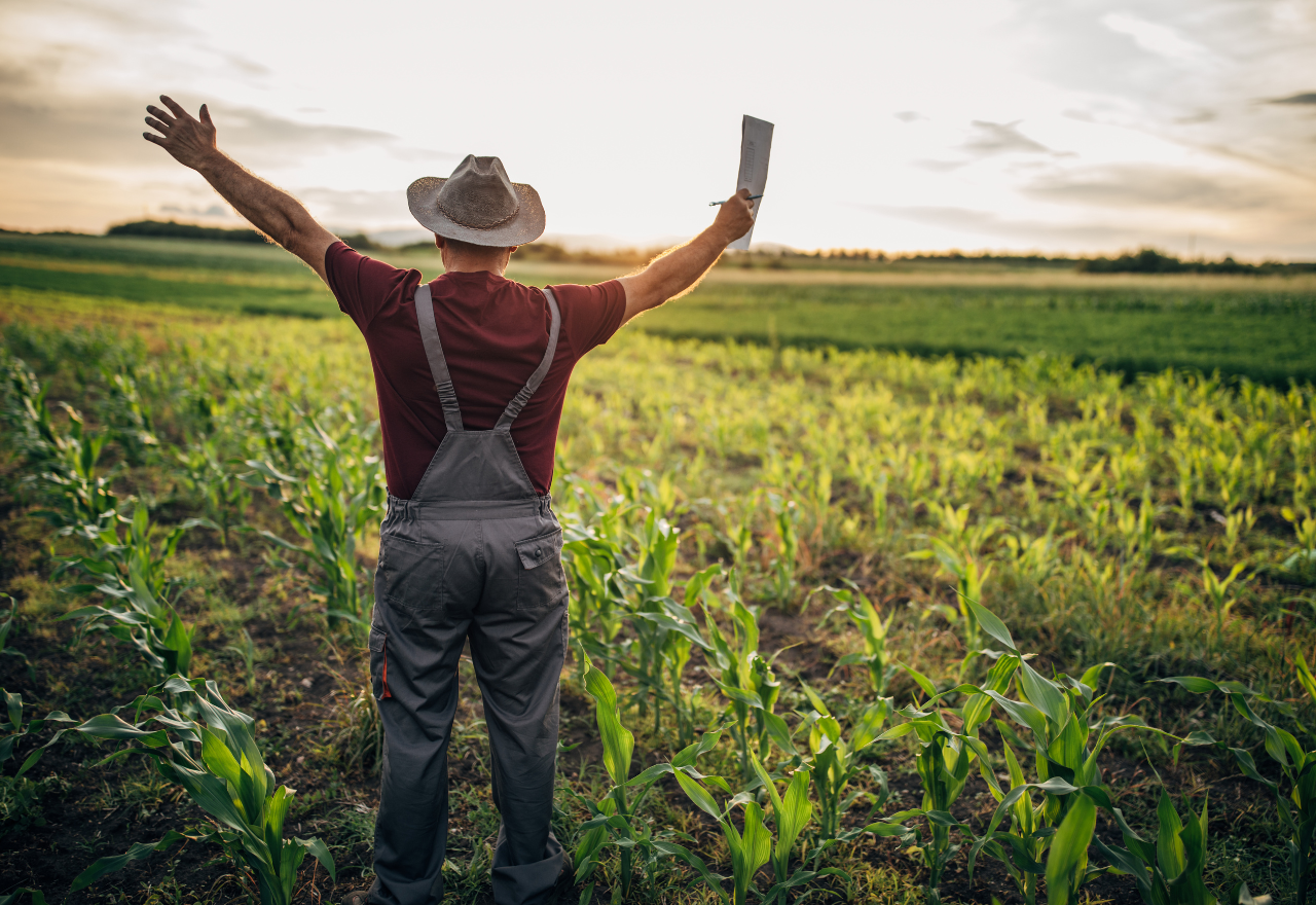 Farm businesses start to recover confidence
