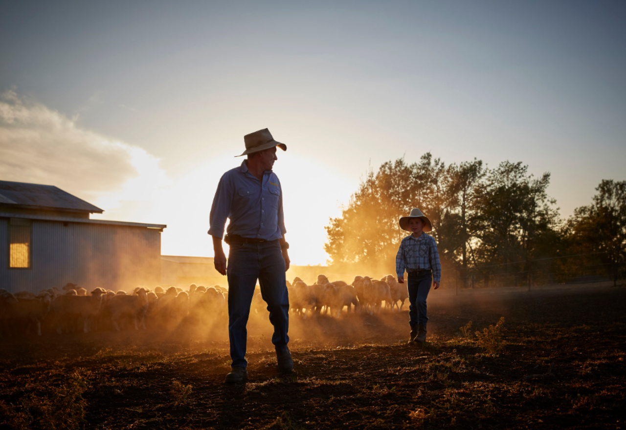 Support Aussie farmers this festive season
