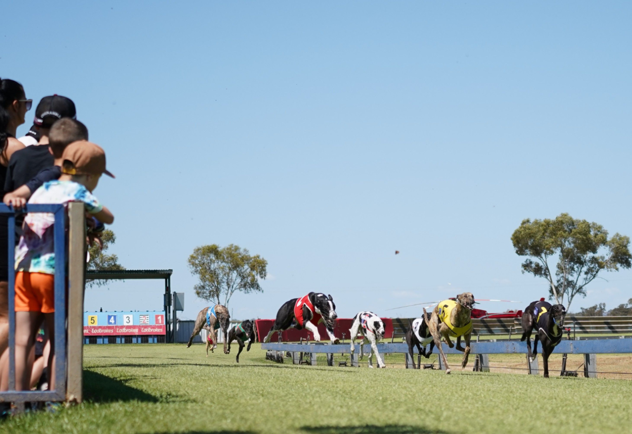 Coonamble greyhound track officially axed