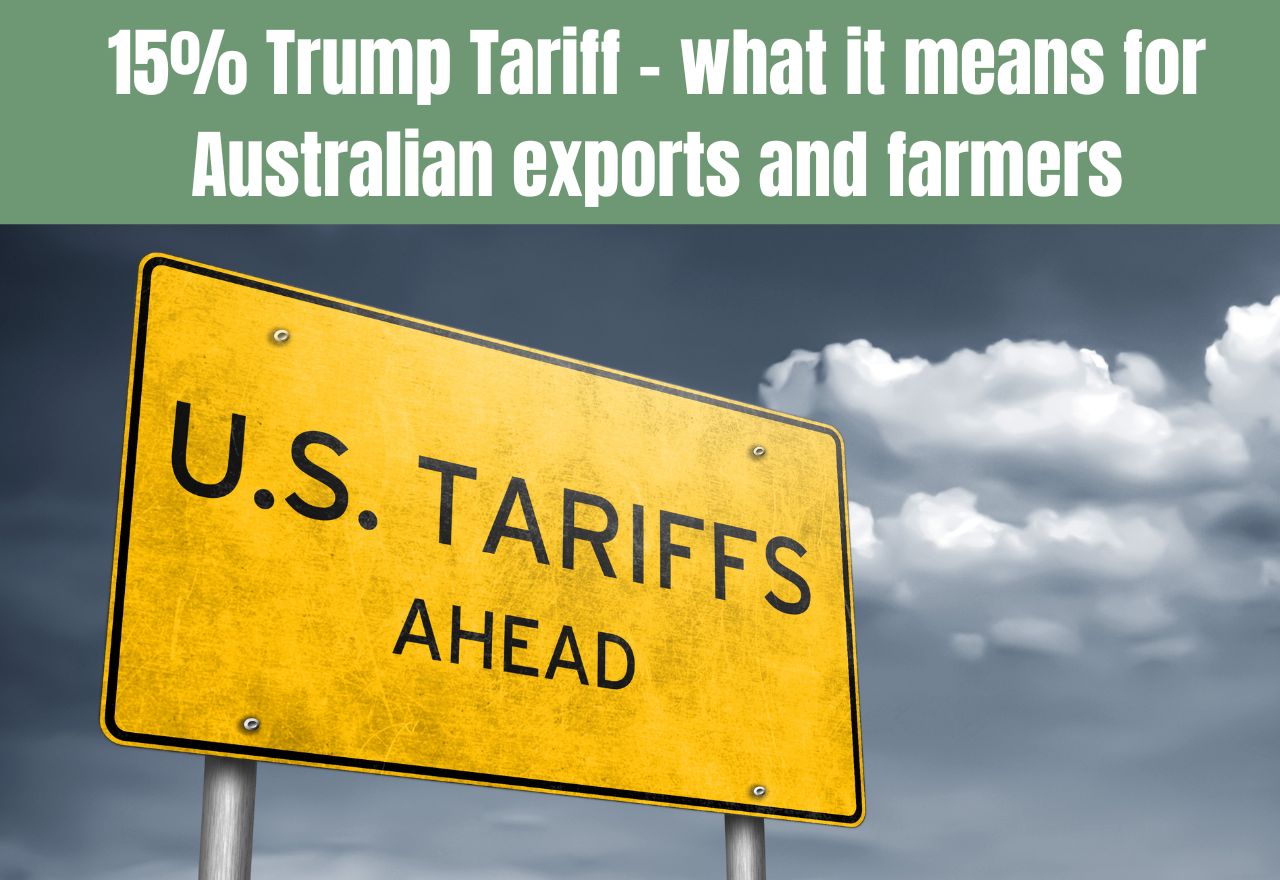 Trump hikes global tariffs to 15% as the fallout from Supreme Court loss continues