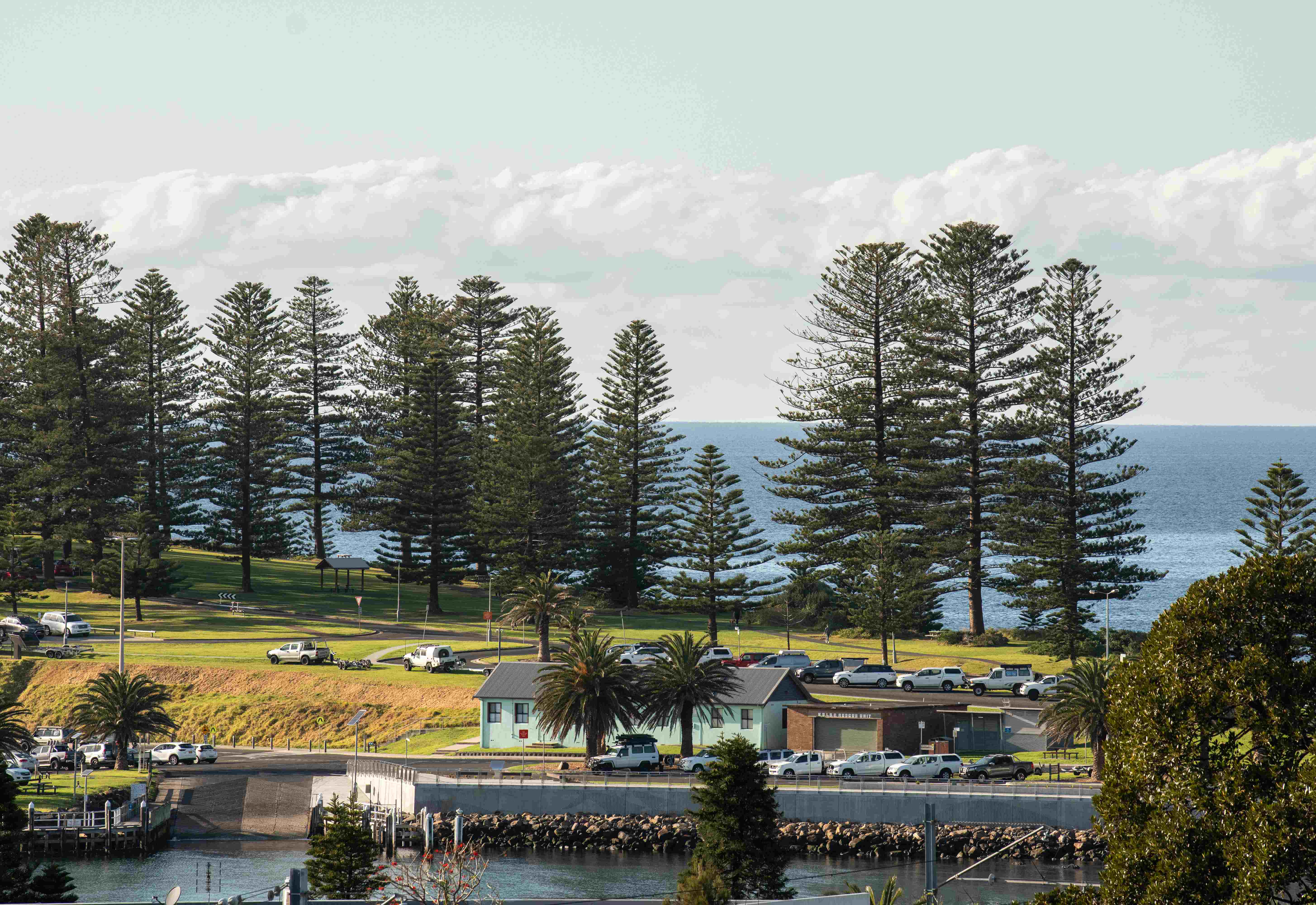 Why a Cedar sea change ticks all the boxes