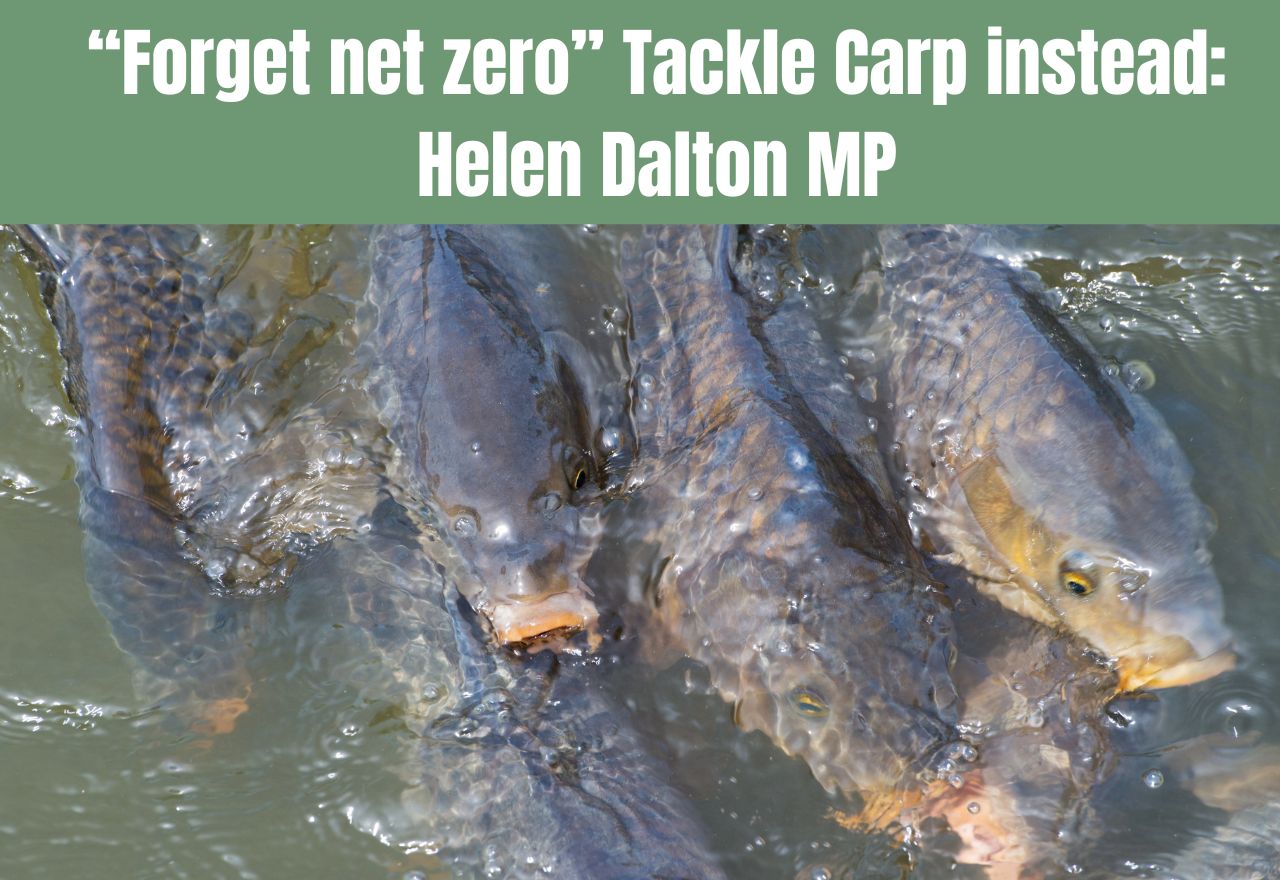 Rabbits of the River: Will the 2027 'Virus Trials' Finally Reclaim the Murray-Darling?