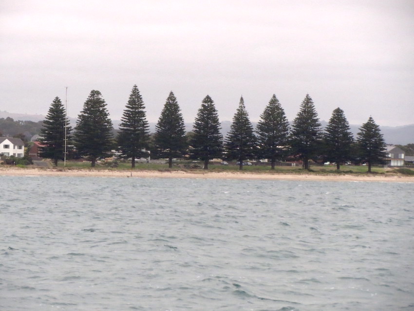 Protecting the coast between the rivers