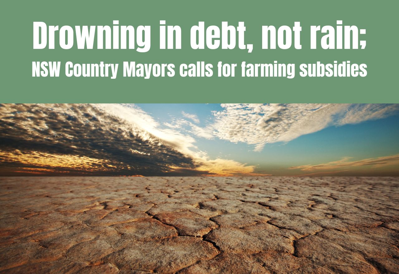 "Stop Feeding Us Debt": Country Mayors Demand Direct Subsidies Over New Govt Loans
