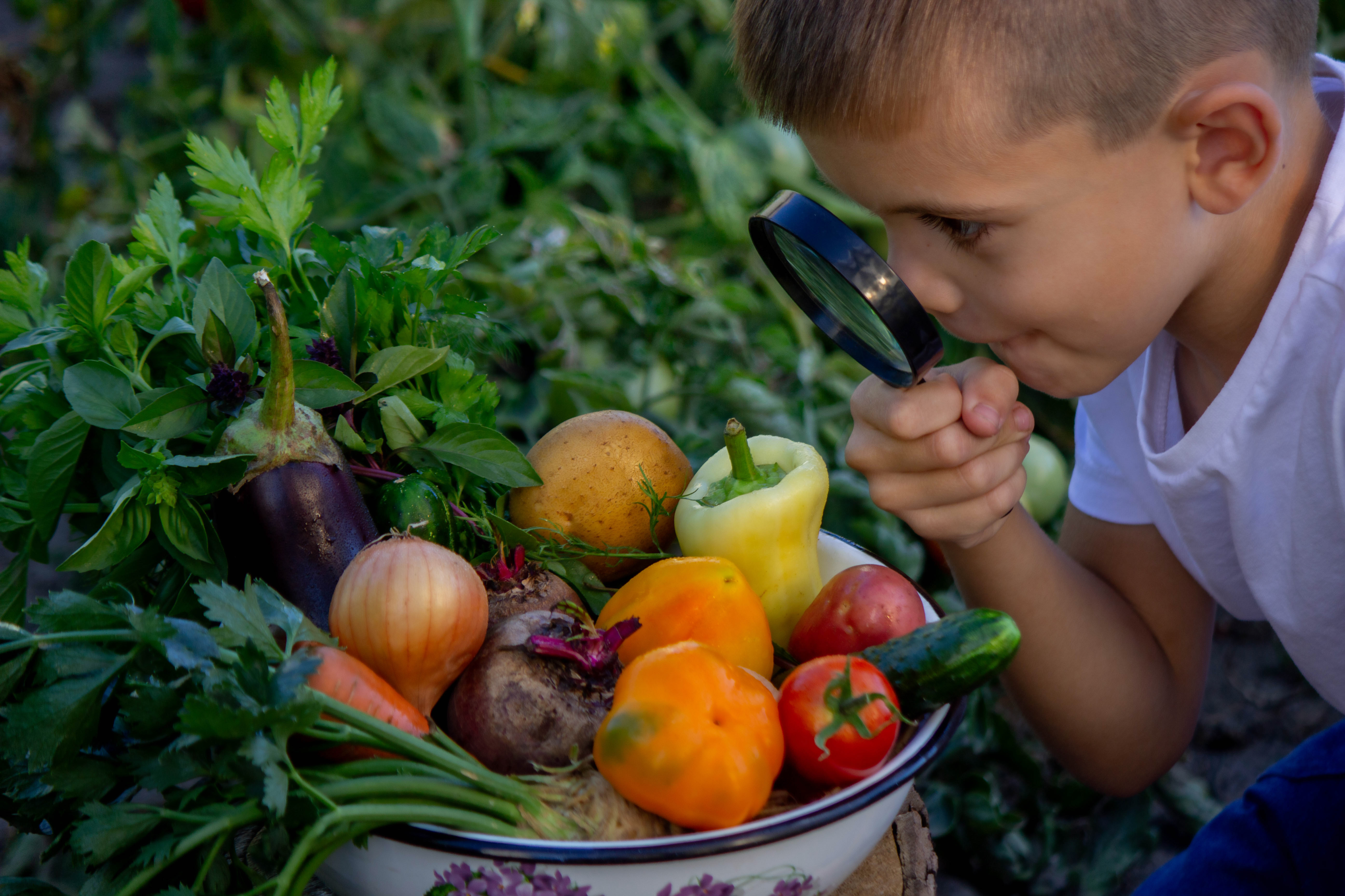 Get involved in Veggie Month during March