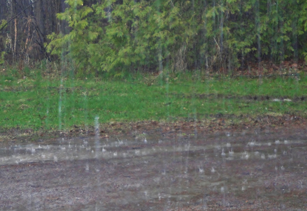 Rain increasing and staying for ANZAC Day long weekend