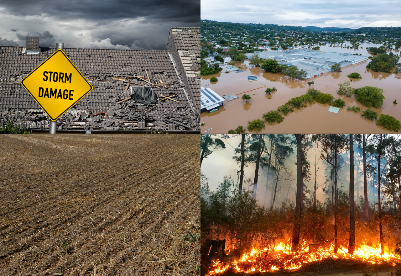 Half of Aussies have moved due to extreme weather stress