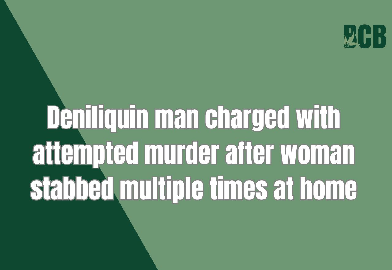 Deniliquin man charged with attempted murder of woman in domestic ...