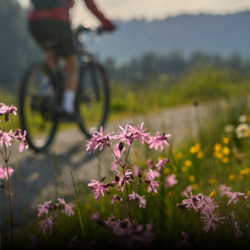 Cycling l Walking
