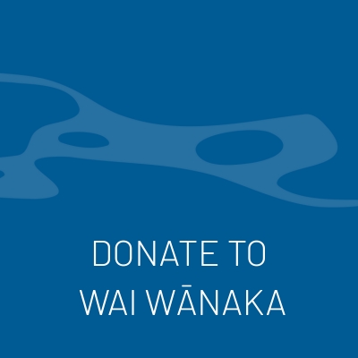 Donate