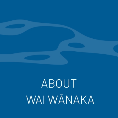 About WAI