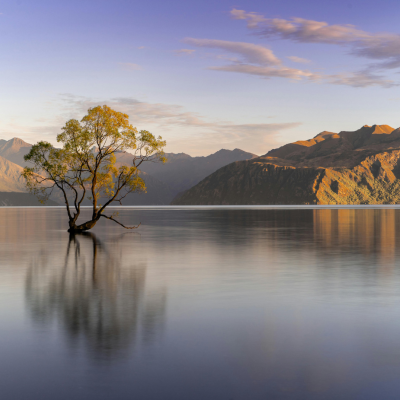 Lake Wānaka - click