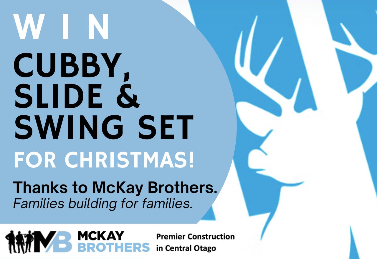 Cubby, Slide & Swing Set valued at $4,200